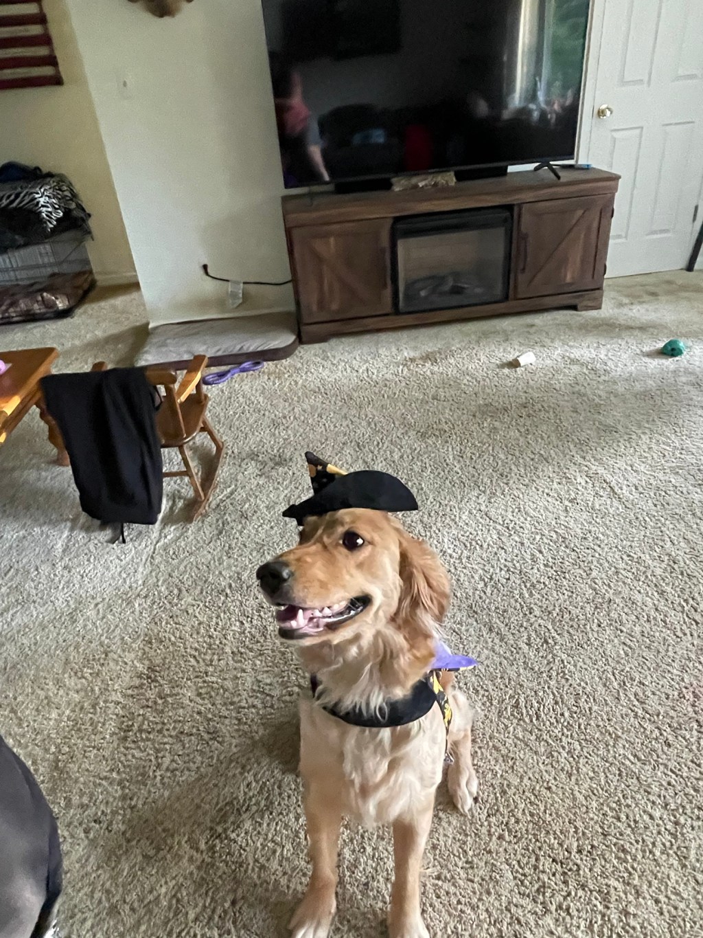 Halloween Fashion Show