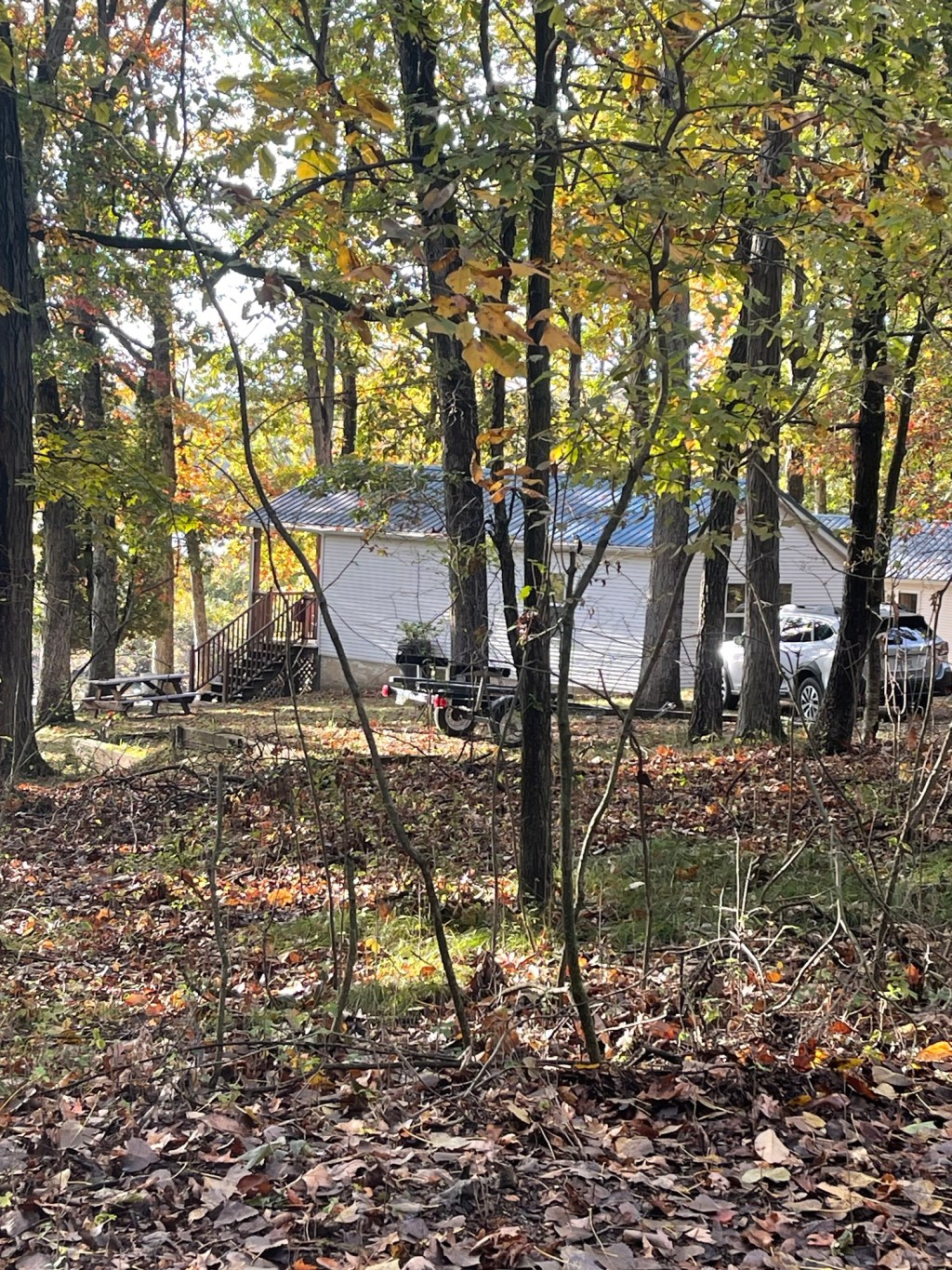 Henson’s Woodland Hideaway