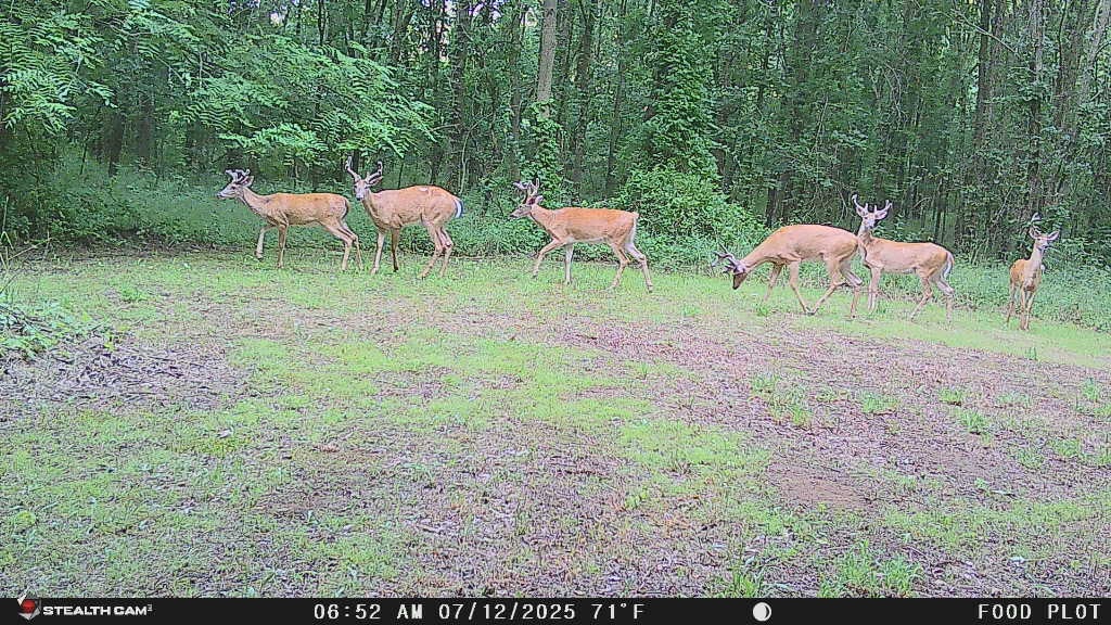 Weekly Catch-Up for July&nbsp;6th-12th