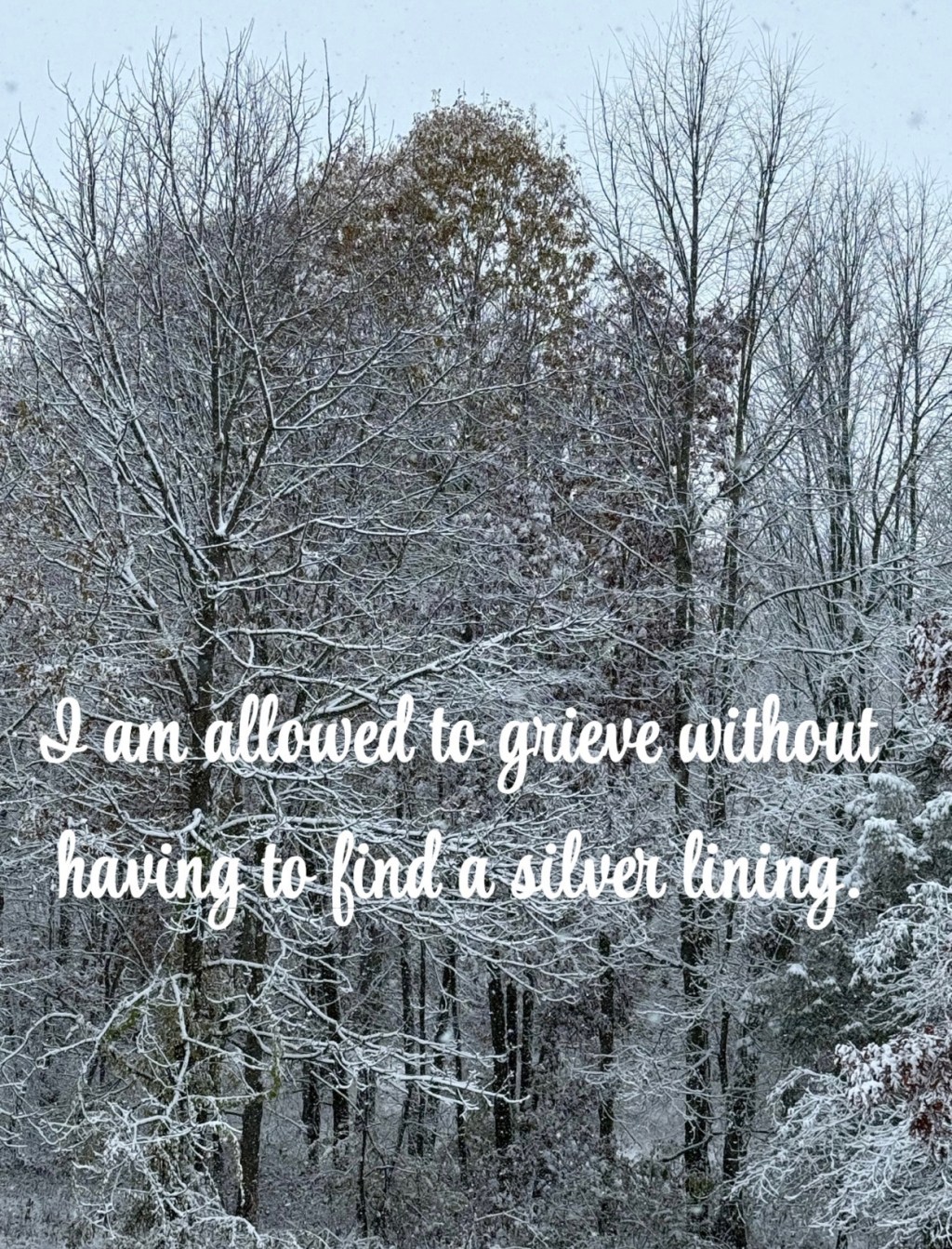 Daily Affirmations: Day&nbsp;43