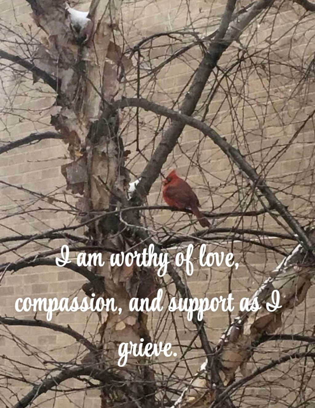 Daily Affirmations: Day&nbsp;45